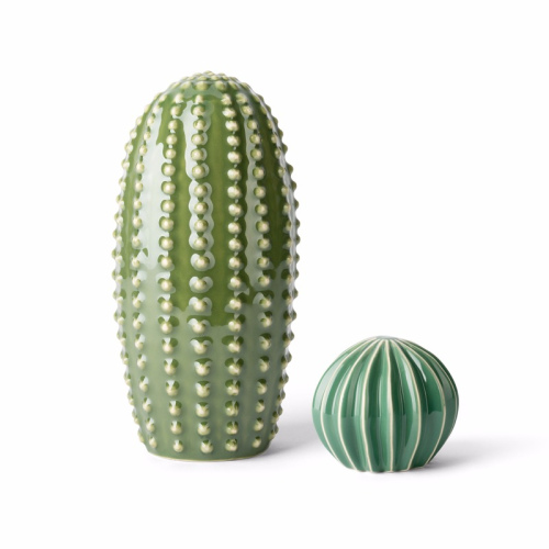 Desert Charm Cactus